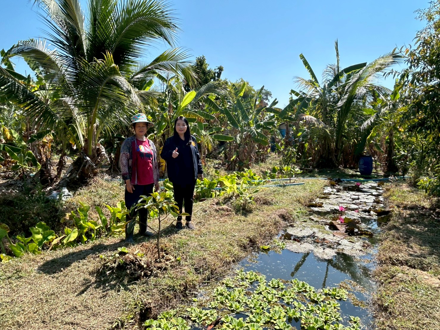 title - ส.ป.ก.ยโสธร ตรวจเยี่ยมเกษตรกรกลุ่มแปลงใหญ่สมุนไพรและเกษตรกรวิสาหกิจชุมชนแปรรูปข้าวเกษตรอินทรีย์บ้านโนนยาง ในเขตปฏิรูปที่ดิน ในพื้นที่ตำบลคำน้ำสร้าง และตำบลกำแมด อำเภอกุดชุม จังหวัดยโสธร 